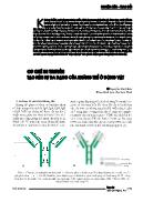 Cơ chế di truyền tạo nên sự đa dạng của kháng thể ở động vật
