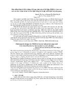 Đặc điểm bệnh lý Hội chứng rối loạn sinh sản và hô hấp (PRRS) ở lợn con sau cai sữa và lợn choai và xác định bằng kỹ thuật miễn dịch huỳnh quang