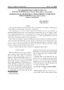 Đặc điểm hình thái và sinh vật học của ruồi đục lá hành liriomyza chinensis (Kato) (Diptera: Agromyzidae)