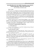 Đặc điểm sinh học của chủng Aspergillus Terreus VNA 05 và khả năng sinh tổng hợp Lovastatin