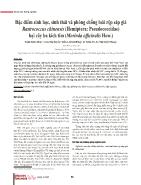Đặc điểm sinh học, sinh thái và phòng chống loài rệp sáp giả Rastrococcus chinensis (Hemiptera: Pseudococcidae) hại cây ba kích tím (Morinda officinalis How)