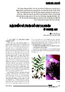 Đặc điểm và phân bố chi sa nhân ở Nghệ An