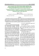 Dẫn liệu bước đầu về khả năng khống chế mọt ngô sitophilus zeamais motschulsky hại hạt đậu trắng của ong ký sinh sâu non anisopteromalus calandrae (howard)
