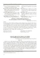 Đánh giá hiệu quả kỹ thuật và tài chính của mô hình nuôi lươn ở tỉnh An Giang