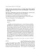 Đánh giá khả năng bảo hộ của gà được tiêm chủng kháng nguyên tái tổ hợp Haemagglutinin dung hợp IgMFc có nguồn gốc từ thực vật