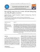 Đánh giá khả năng xử lý nước ô nhiễm chất dinh dưỡng bằng cây cỏ Sậy (Phragmites australis)