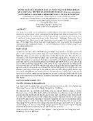 Đánh giá mức độ đảm bảo an toàn vệ sinh thực phẩm qua một số chỉ tiêu vi sinh trên tôm sú (penaeus monodon) nuôi thâm canh theo hình thức đa cấp tại Hải Phòng