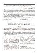 Định danh và hiệu quả của một số thuốc hóa học đối với tác nhân gây thối cuống trái cam sành