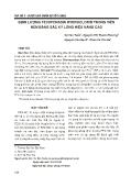 Định lượng Fexofenadin Hydroclorid trong viên nén bằng sắc ký lỏng hiệu năng cao