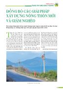 Đồng bộ các giải pháp xây dựng nông thôn mới và giảm nghèo