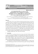 Giá trị dinh dưỡng của rau sứng (strophioblachia fimbricalyx boerl) thu hái ở Cù Lao Chàm, Hội An, Quảng Nam