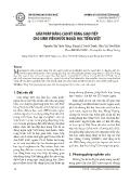Giải pháp nâng cao kỹ năng giao tiếp cho sinh viên nước ngoài học Tiếng Việt
