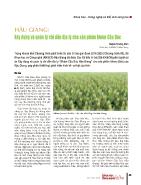 Hậu Giang: Xây dựng và quản lý chỉ dẫn địa lý cho sản phẩm khóm Cầu Đúc