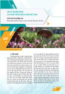 Hệ giá trị bền vững cho phát triển nông thôn Việt Nam