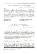 Hiện trạng canh tác quýt đường tại xã Long Trị, thị xã Long Mỹ, tỉnh Hậu Giang