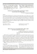 Hiệu quả của các loại dinh dưỡng thủy canh lên cây xà lách và cải xanh