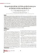 Hiệu quả của dịch chiết thực vật để kiểm soát nấm Pyricularia grisea gây bệnh đạo ôn trên lúa trong điều kiện in vitro