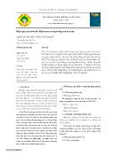 Hiệu quả của tưới kiệm nước trong trồng rau an toàn