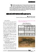 Hiệu quả nuôi thương phẩm lợn Xao Va