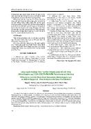 Hiệu quả phõng trừ tuyến trùng sần rễ hồ tiêu (meloidogyne sp) của chế phẩm nấm paecilomyces lilacinus