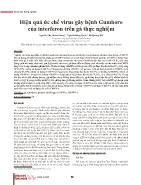 Hiệu quả ức chế virus gây bệnh Gumboro của interferon trên gà thực nghiệm