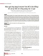 Hiệu quả ứng dụng bentonit Tam Bố (Lâm Đồng) để cải tạo đất cát trồng măng tây và ngô