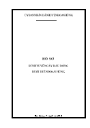 Hồ sơ bình tuyển Cây đầu dòng bưởi diễn Đoan Hùng