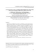 Investigation of salt-Tolerant rhizosphere bacteria from seawater-intruding paddy rice field in Viet Nam