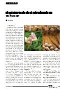 Kết quả công tác bảo tồn và phát triển nguồn gen tại Nghệ An