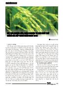 Kết quả nghiên cứu, khảo nghiệm và sản xuất thử giống lúa nếp thơm ngắn ngày N612