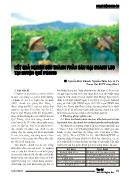 Kết quả nghiên cứu thành phần sâu hại chanh leo tại huyện Quế Phong