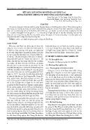 Kết quả xây dựng mô hình sản xuất lạc giống nguyên chủng vụ thu đông 2018 tại Nghệ An