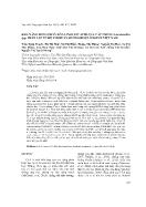 Khả năng đồng phân hóa linoleic acid của các chủng lactobacillus spp phân lập từ hệ vi khuẩn đường ruột ở người Việt Nam