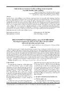 Khả năng kháng nấm phytophthora capsici và tuyến trùng meloidogyne incognita của một số vật liệu làm gốc ghép cho cây hồ tiêu tại Việt Nam