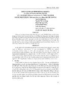 Khảo sát hoạt tính kháng oxy hóa và khả năng hạ đường huyết của dâm bụt (hibiscus rosa-Sinensis L) trên mô hình chuột nhắt trắng (mus musculus var. albino) bị tiểu đường
