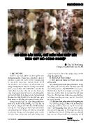 Mô hình sản xuất, chế biến nấm khép kín theo quy mô công nghiệp