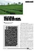 Một số vấn đề trong sản xuất, chế biến và tiêu thụ chè ở Nghệ An