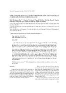 Nâng cao hiệu quả xử lý nước ô nhiễm dầu bằng chủng bacillus cố định lên xốp polyurethane (puf)