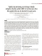 Nghiên cứu ảnh hưởng của tích hợp vi khuẩn endophyte Bacillus subtilis GB03 với vật liệu nano silica đến sự phát triển của cây dưa lưới (Cucumis melo)