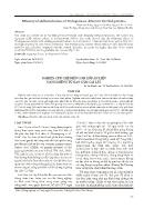 Nghiên cứu chế biến cơm xốp ăn liền dạng miếng từ gạo cẩm Cai Lậy