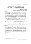 Nghiên cứu hoàn thiện quy trình sản xuất dược liệu huyền sâm (scrophularia ningpoensis hemsl) theo GACP – WHO tại Sa Pa, Lào Cai