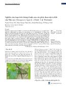 Nghiên cứu hoạt tính kháng khuẩn của các phân đoạn dịch chiết cây Dây cóc