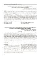 Nghiên cứu hoạt tính kháng một số vi khuẩn gây bệnh thực vật của các chủng xạ khuẩn phân lập ở Việt Nam