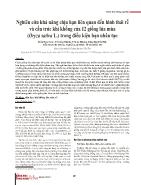 Nghiên cứu khả năng chịu hạn liên quan đến hình thái rễ và cấu trúc khí khổng của 12 giống lúa mùa (Oryza sativa L) trong điều kiện hạn nhân tạo