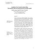 Nghiên cứu kỹ thuật nhân giống cây Ba kích tại Bắc Giang