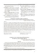 Nghiên cứu kỹ thuật nhân giống ngải đen (kaempferia parviflora) bằng chồi củ