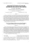 Nghiên cứu một số chỉ tiêu sinh hóa theo tuổi phát triển của quả nhãn lồng (euphoria longan lamk) trồng tại Quảng Ninh