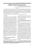 Nghiên cứu nấm septobasidium pseudopedicellatum gây bệnh dán cao hại chè tại Mộc Châu, Sơn La