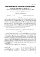 Nghiên cứu nâng cao hiệu quả tạo phôi bò bằng thụ tinh trong ống nghiệm