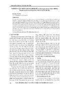 Nghiên cứu nhân giống đinh đũa (stereospermum colais (dillw) mabberl) bằng phương pháp giâm hom